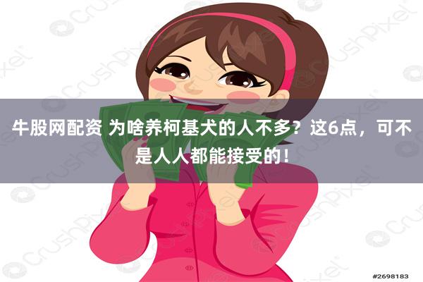 牛股网配资 为啥养柯基犬的人不多？这6点，可不是人人都能接受的！