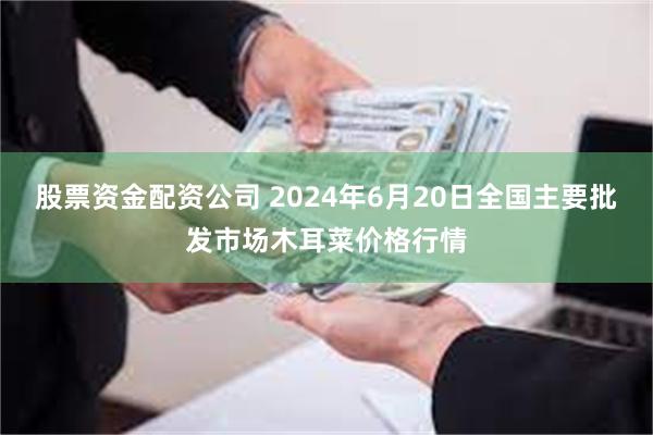 股票资金配资公司 2024年6月20日全国主要批发市场木耳菜价格行情