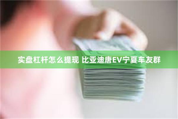 实盘杠杆怎么提现 比亚迪唐EV宁夏车友群