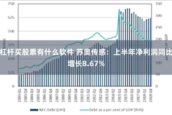 杠杆买股票有什么软件 苏奥传感：上半年净利润同比增长8.67%