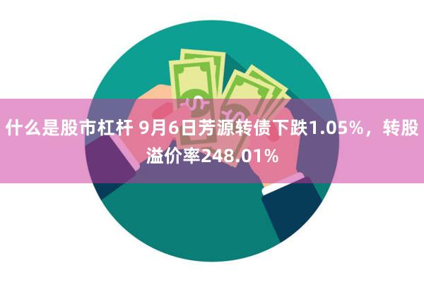 什么是股市杠杆 9月6日芳源转债下跌1.05%，转股溢价率248.01%