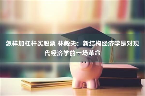 怎样加杠杆买股票 林毅夫：新结构经济学是对现代经济学的一场革命