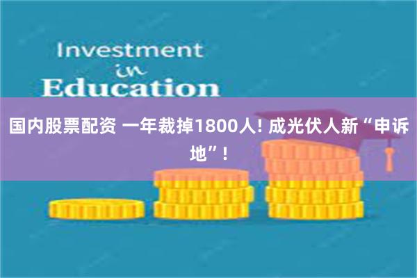 国内股票配资 一年裁掉1800人! 成光伏人新“申诉地”!