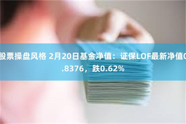 股票操盘风格 2月20日基金净值：证保LOF最新净值0.8376，跌0.62%